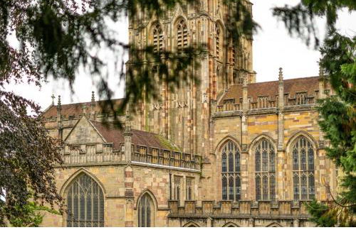 Fig Tree House - Foto 24