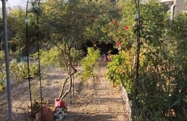 Dora's House - Photo 34