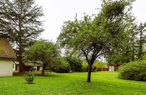 Le Clos André - Climatisation - Jardin - Chambord - Foto 47