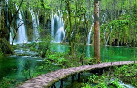 Magnus Lupus - Foto 11