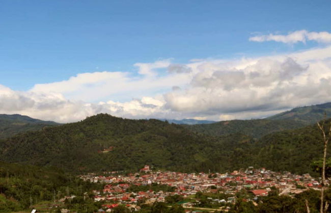 Tour del caffè a Villa Rica - Foto 4