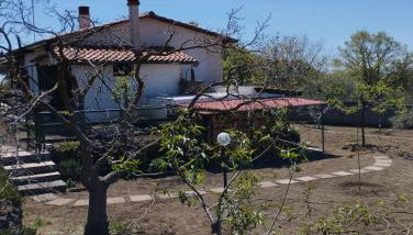 Risveglio sull'Etna - Foto 2, Garden, Garden view