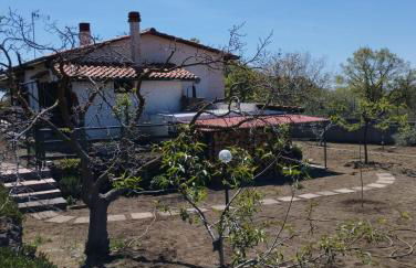 Risveglio sull'Etna - Foto 2