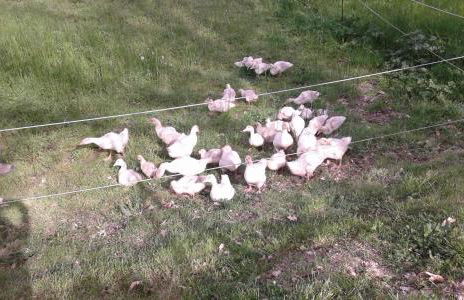 Casa Vacanze La Meridiana - Foto 13