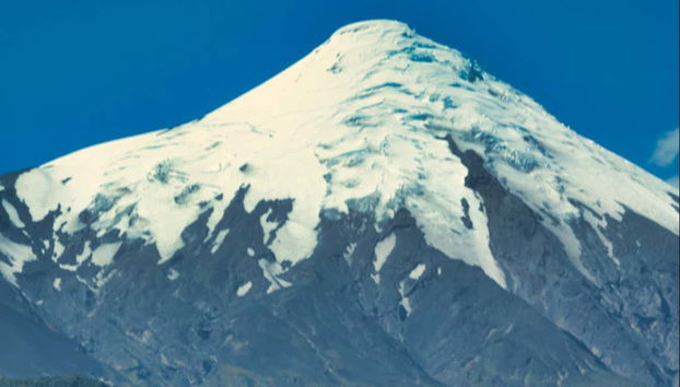 Senderismo por el Parque Nacional Alerce Andino - Foto 3