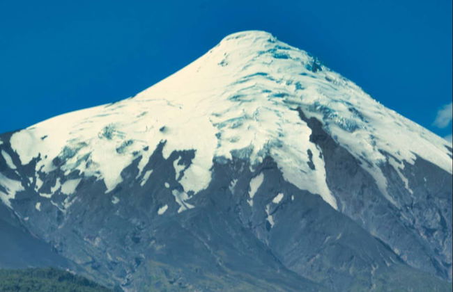 Senderismo por el Parque Nacional Alerce Andino - Foto 3