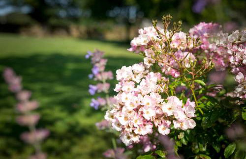 The Showman's Waggon - Foto 24