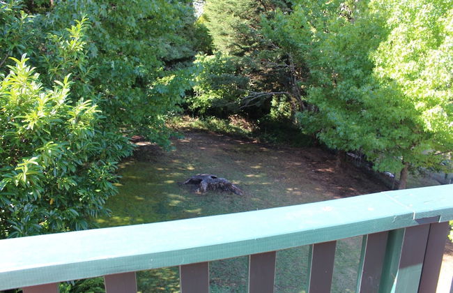 Golfers Delight - Foto 12