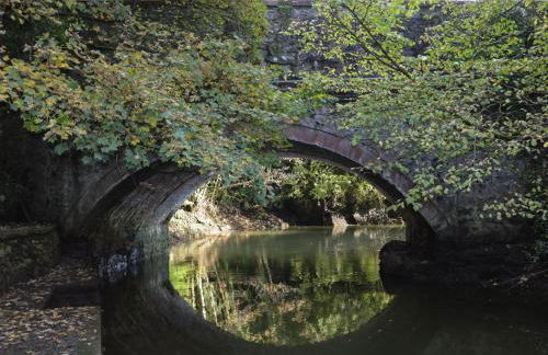 Melin y Coed - Foto 58