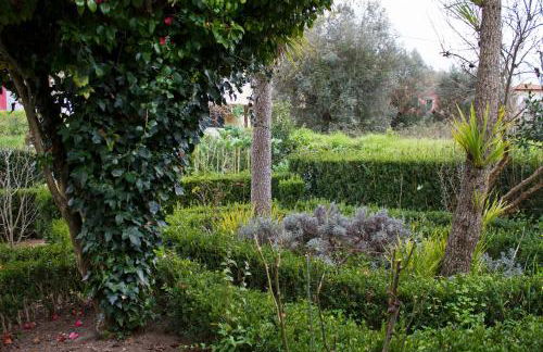 Casa do Avô Serra - Foto 36