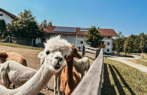 Ferienhof Petermühle Urlaub mit Alpakas - Foto 2