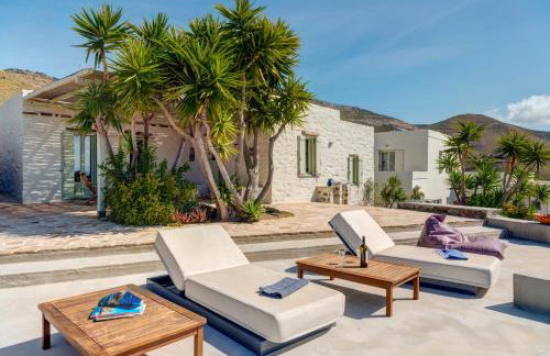 MEGAS GIALOS HARMONY - Foto 76