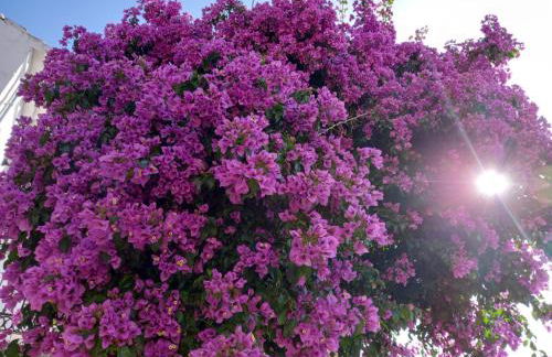 La Villa, Alojamiento Rural - Foto 19