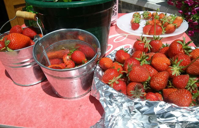 Mendi Alai - Foto 19