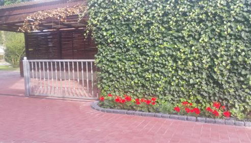 Elbe-Ferien 2 - Foto 2