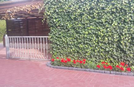 Elbe-Ferien 2 - Foto 2