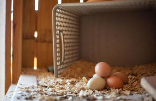 Hobbit Treehouse with waterfall on the Brazos River! 350 acres! Tubing! Petting zoo! - Foto 45