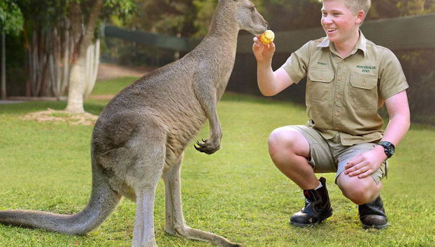 Croc Express vers le zoo d'Australie - Photo 5