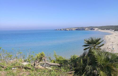 Oasi di Mare - Foto 18