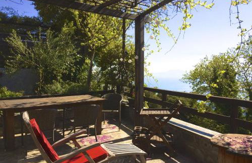 Pelion Homes - Foto 32