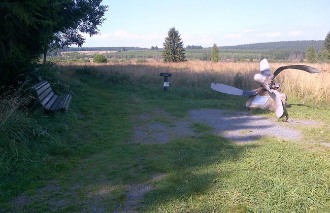 Picture-perfect Holiday Home in Sourbrodt With Garden, BBQ - Foto 80