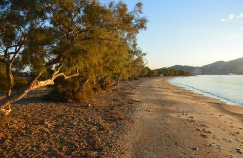 ThalaSEA - village Antiparos - Foto 6