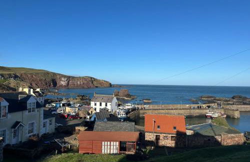 Milldown Glamping - Foto 12