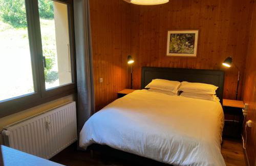 Vue du Mont-Blanc - Photo 12