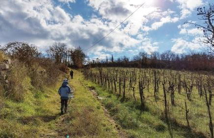 Il Borgo di capannole, Il Giorgio - Foto 8