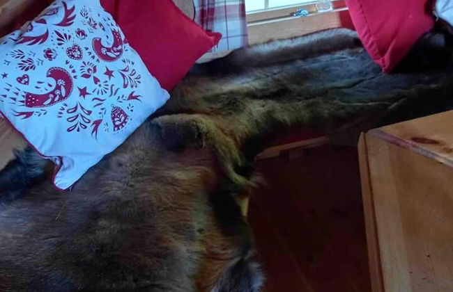 Meagill Farmhouse, hot Tub, bbq hut - Foto 6