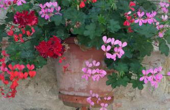 Agriturismo Villino del Grillo - Foto 29