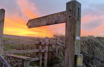 Darracott Farm Cottage - Foto 24