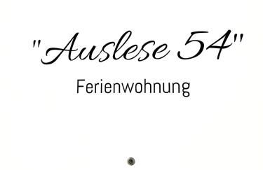 "Auslese 54" -Direkt am Moselufer- Gästezimmer & Ferienwohnung - Foto 3