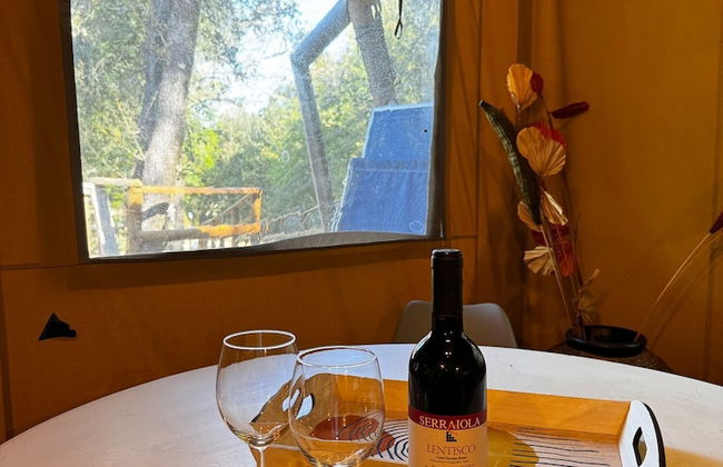 Serraiola Alta - Foto 42