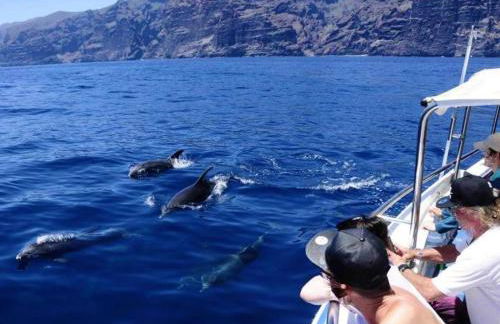 Apartamento incleibles vistas al océano y piscina. - Foto 54