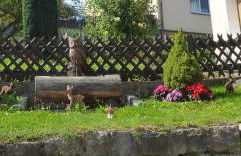 Ferienwohnung Pusteblume - Foto 29