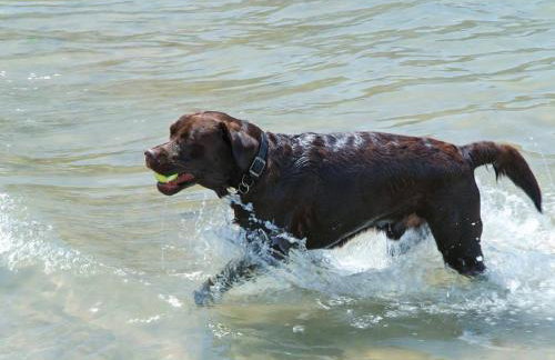 2 Armada House - Foto 21