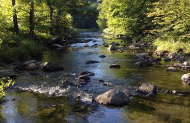 Green River Cottage - Foto 38