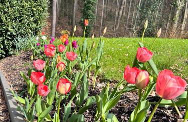 große und luxuriöse Ferienwohnung für max 8 Gäste - Foto 13