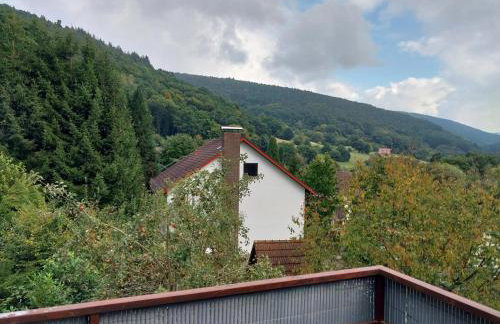 Talblick & Ruhe in Hirschhorn Langenthal - Foto 13