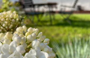 Kochstedter Wohnstuben - Wohnen mit Naturbaustoffen in der Bauhausstadt Dessau - Foto 45