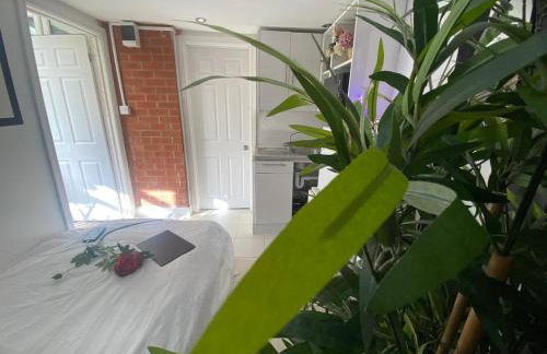 1 Bedroom studio - Photo 10