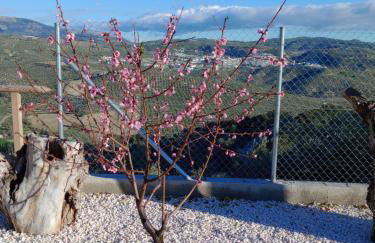 Cortijo Rural Buenavista Montefrio - Foto 25