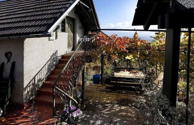 Vineyard cottage Verček - Photo 11