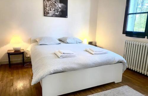 Maison de charme à Québriac avec jardin clôturé - Foto 11