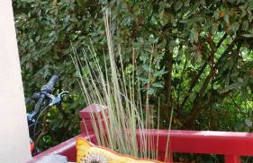 Résidence du Haurat - Foto 18