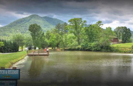 Alpine Joy-Hot Tub, Pond Access ,Cozy Cabin Retreat in the Smokies - Foto 38