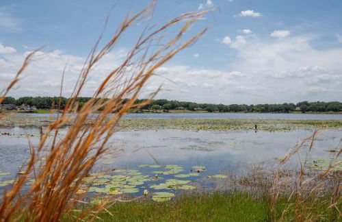 Lakeview with Shuffleboard Table and Wildlife Spotting - Photo 28