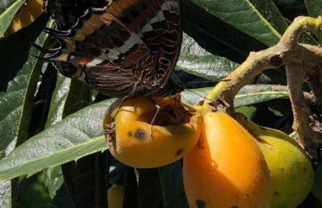 Quinta do Penedo- Refúgio de Charme e Natureza - Foto 23