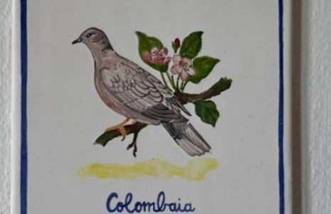 Podere La Saliciaia - Foto 34